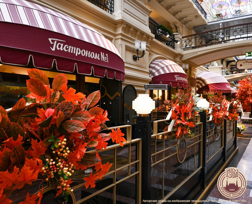 Коммерческие интерьеры